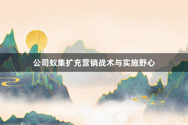 公司蚁集扩充营销战术与实施野心